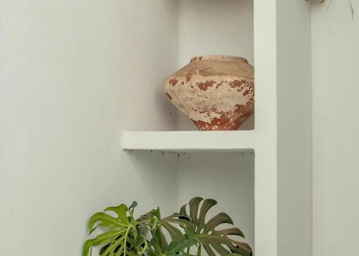 Casa De La Huerta By Villalize