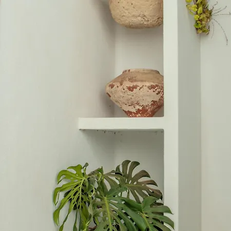 Casa De La Huerta By Villalize